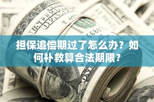 济南担保追偿期过了怎么办？如何补救算合法期限？